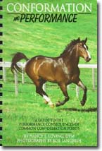 Bob Langrish Mini Poster 50cm x 40cm new and sealed Running Horses 