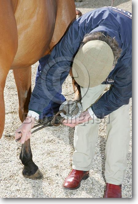 hoof testers