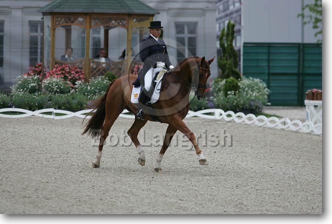 ann romney dressage. AUTORA: ANA Mª MATUTE