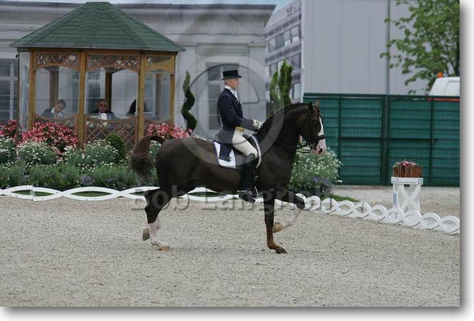 Briar 899